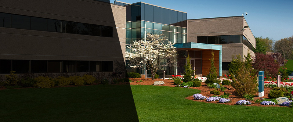 Newington Landscapers