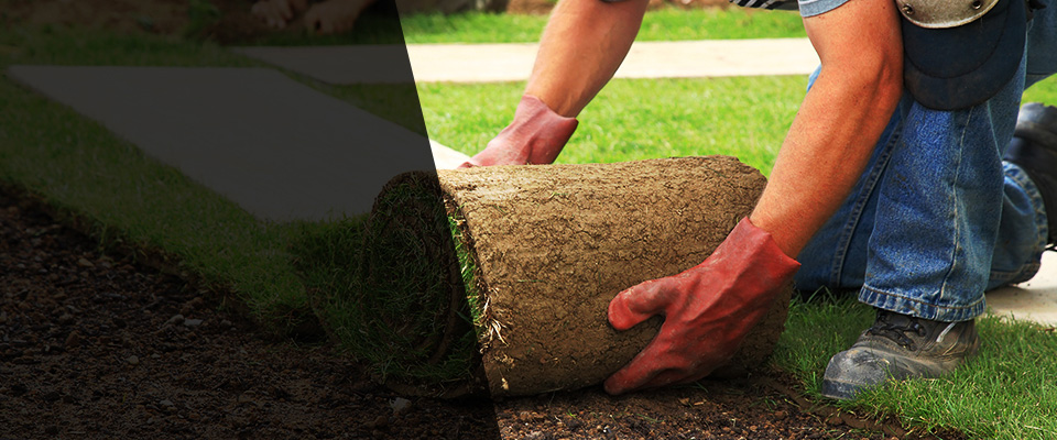 Newington Landscapers